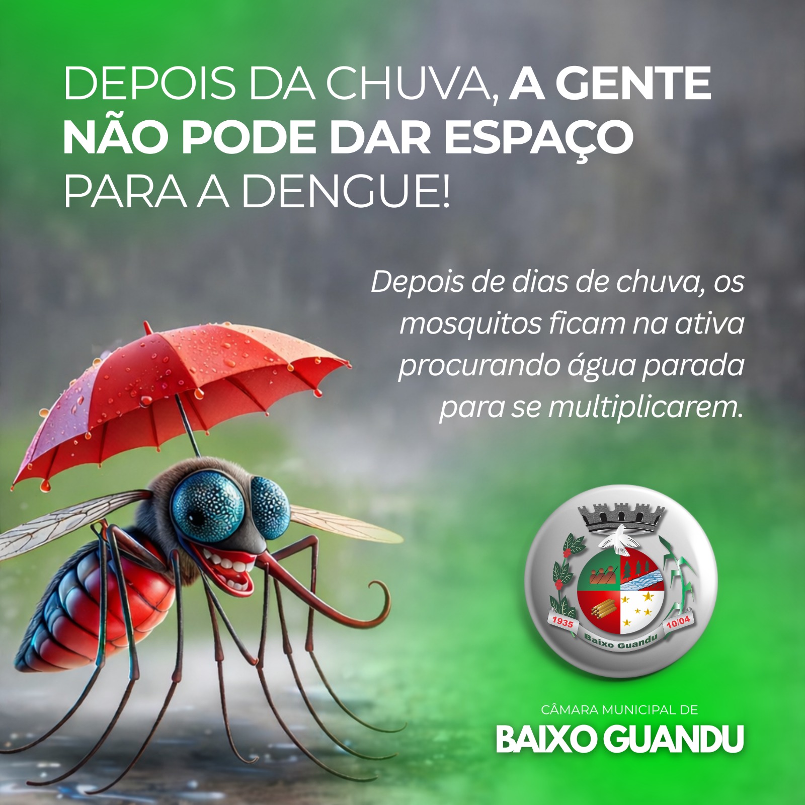 🦟🌧️ DEPOIS DA CHUVA, BAIXO GUANDU NÃO DÁ ESPAÇO PARA A DENGUE! 🌧️🦟