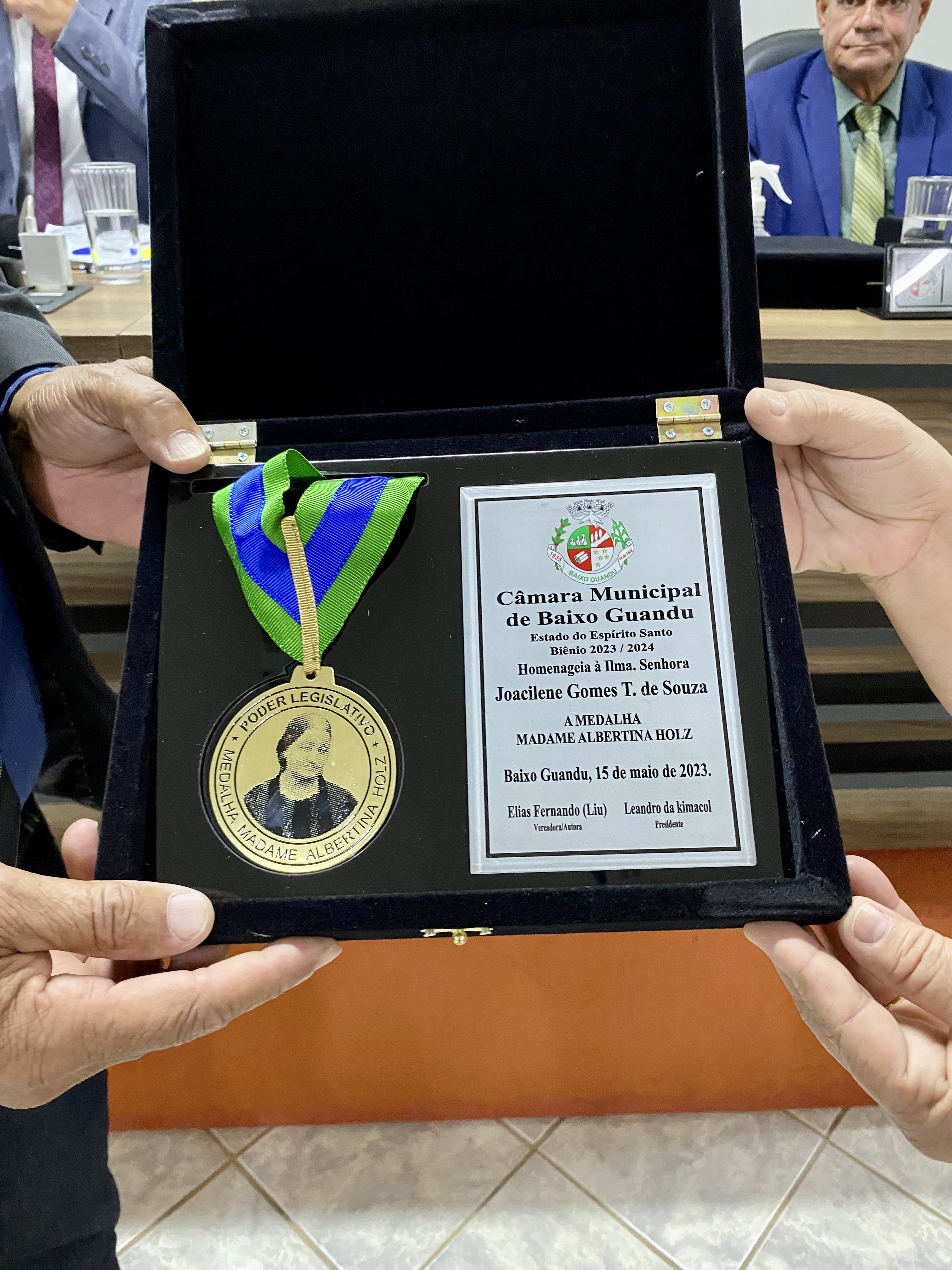 Câmara de Baixo Guandu homenageia mulheres empreendedoras com a Medalha Madame Albertina Holz